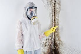 Mold Documentation for Insurance Claims